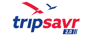 branding logo